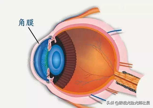 震惊全网（欧冠）摩纳哥VS突尼斯赛事直播字幕-深度剖析
