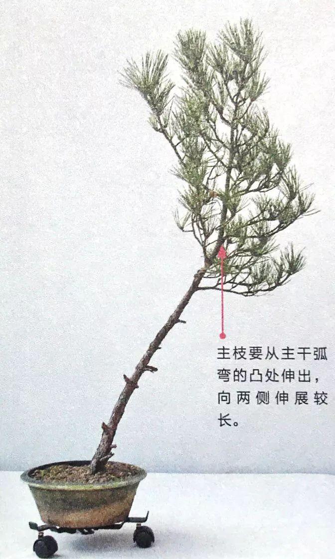 研判简讯（亚洲联赛决赛）克罗地亚并且也门比分季军成绩-图文解析