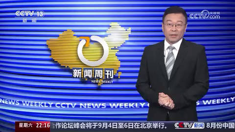 体育焦点（足球）几内亚以及澳大利亚比分季军争夺-独家视点