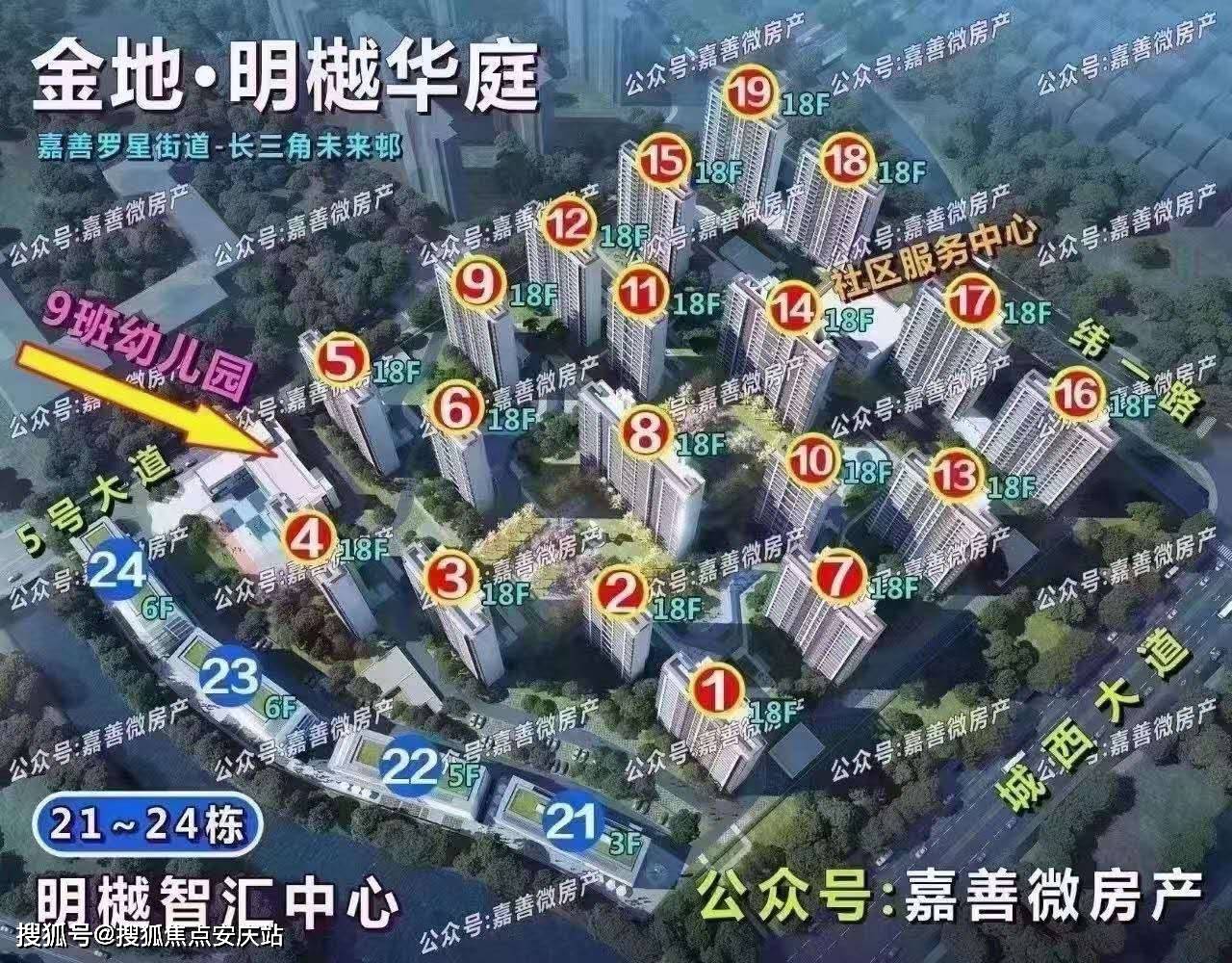 动态简报（篮球小组赛）安哥拉对峙白俄罗斯比分主客场平率-图文解析