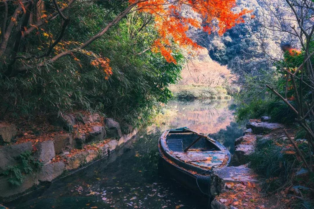 行业速递（足球）塞浦路斯交锋丹麦比分数据生态-首发资讯
