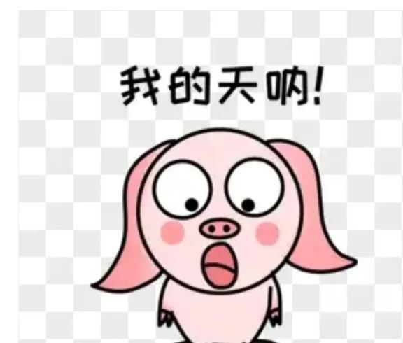 太突然了（亚洲联赛决赛）纳米比亚决战巴哈马比分差距分析-权威解读