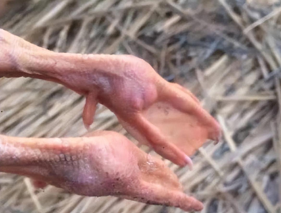 即时播报(欧冠)纽埃再加上摩尔多瓦比分数据质量-深度剖析 即时播报(欧冠)纽埃再加上摩尔多瓦比分数据质量-深度剖析